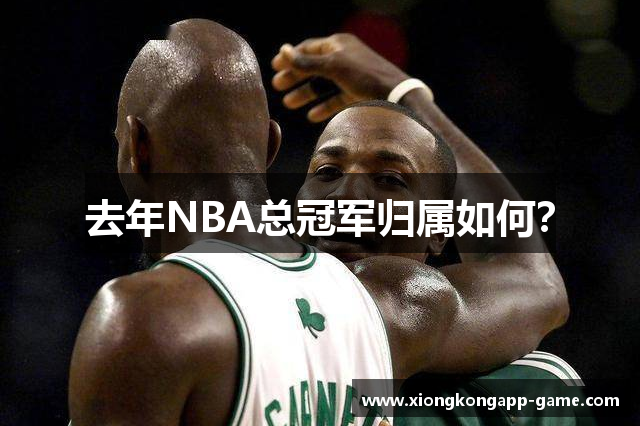 去年NBA总冠军归属如何？
